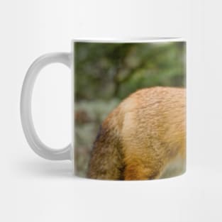 Red Fox Mug